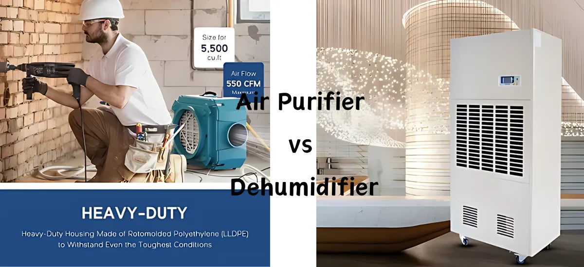 Air Purifier vs Dehumidifier